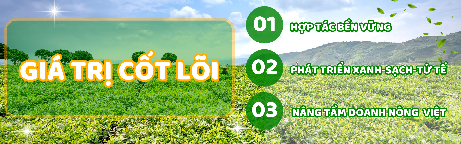 Sản phẩm khuyến mãi