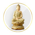 coll_7_title