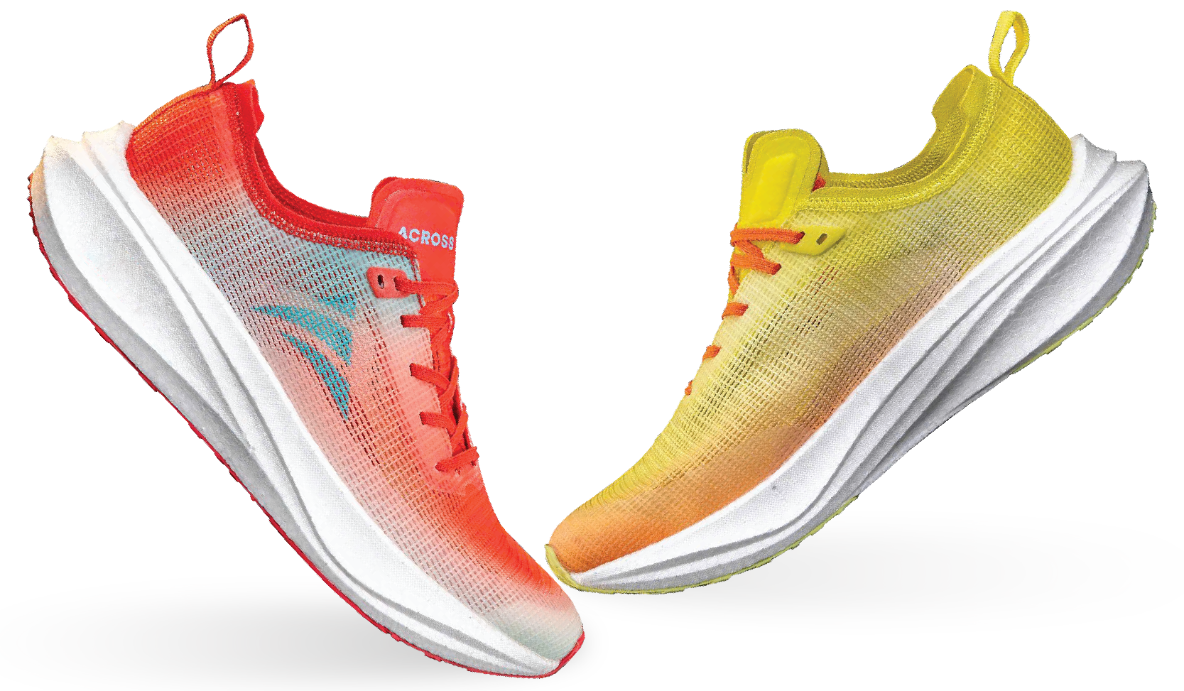 home-newletter-image