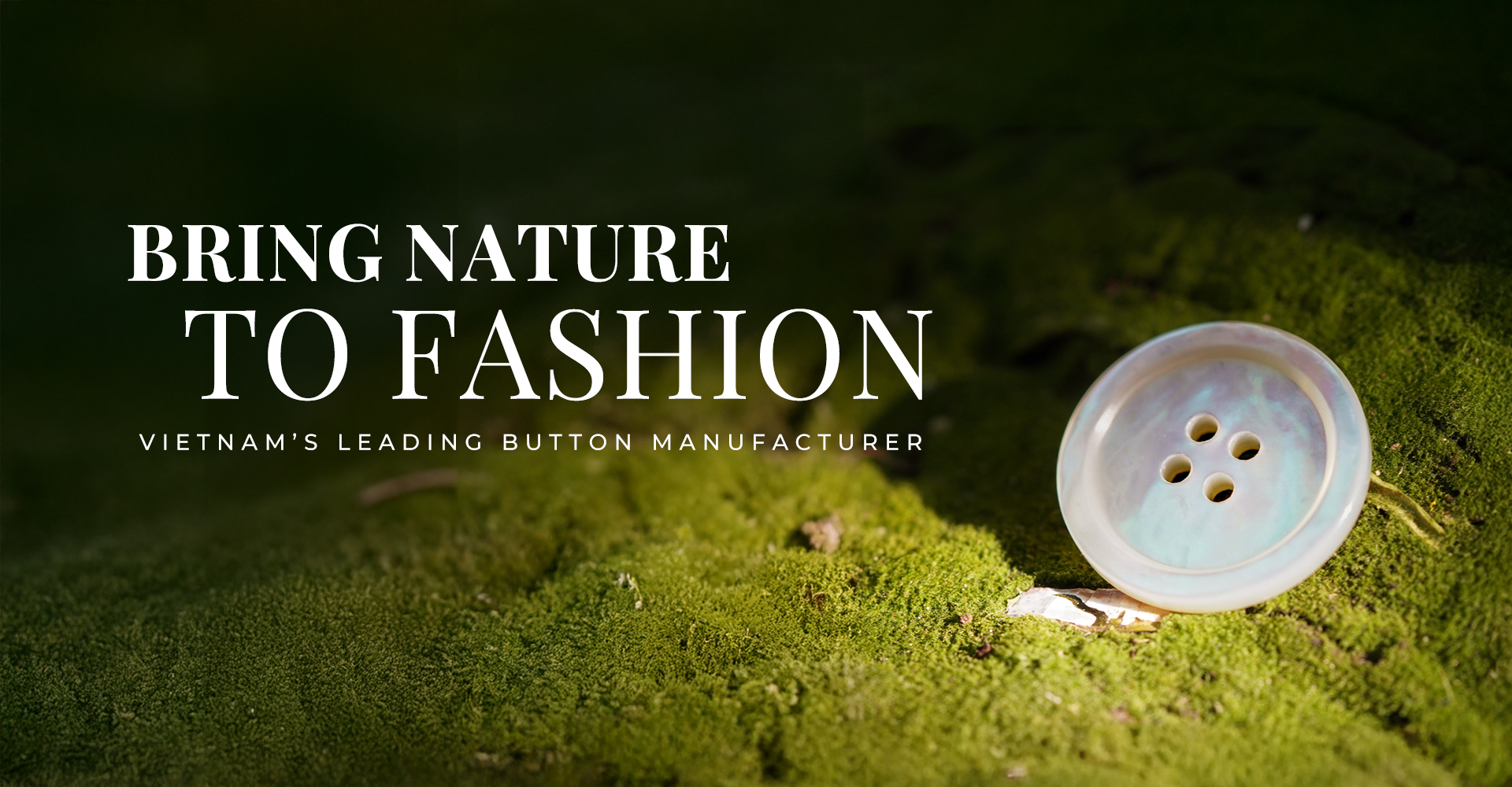 High-end mother-of-pearl button for export - Ton Van Button