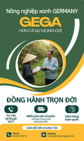 Phân bón ACTIVATOR - Kích Thích Ra Hoa - Vọt Hoa Mạnh - Trổ Hoa Đồng Loạt
