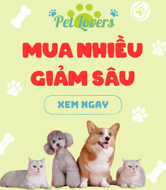 Click ngay để nhận ưu đãi hot!!