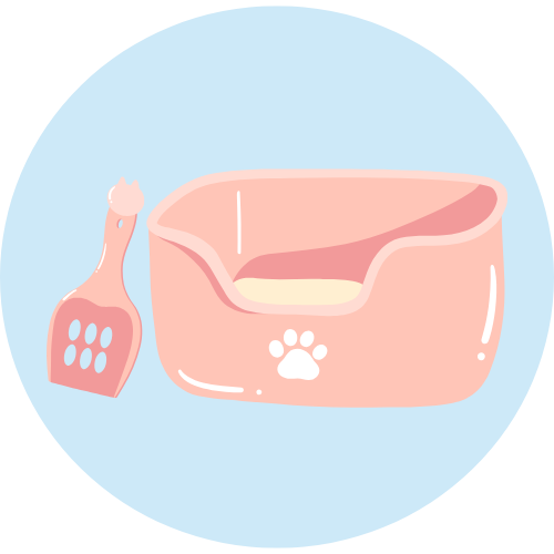 Dụng cụ vệ sinh