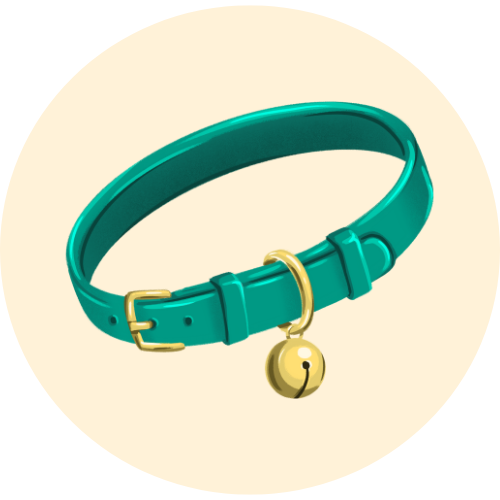 Vật dụng, phụ kiện