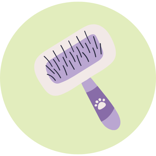 Dụng cụ chải lông