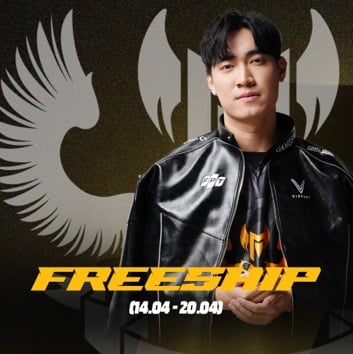 FREE SHIP