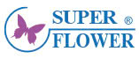 brand_5_title