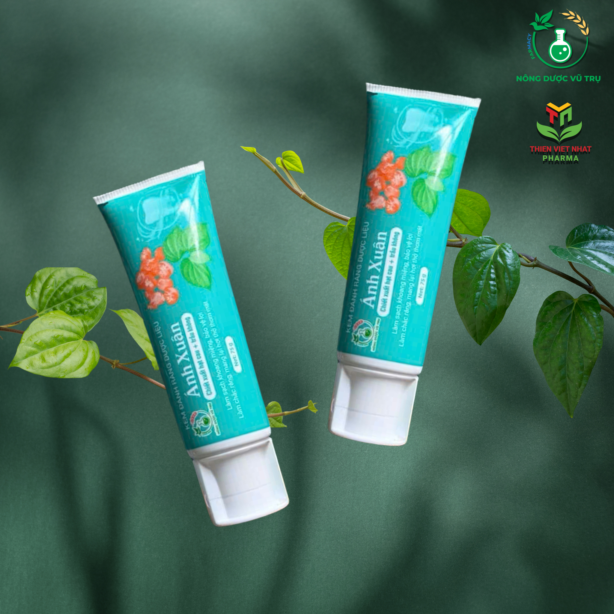 Kem đánh răng dược liệu Ánh Xuân 