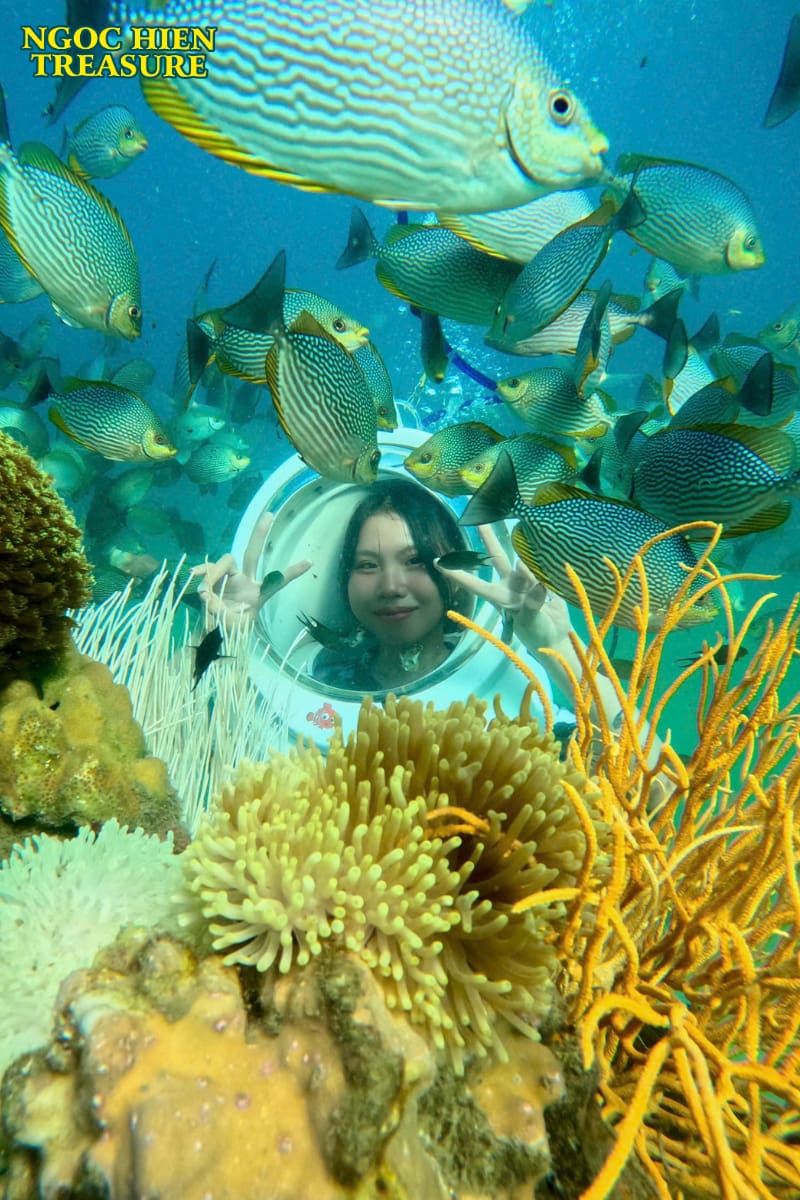Phiêu lưu dưới đại dương