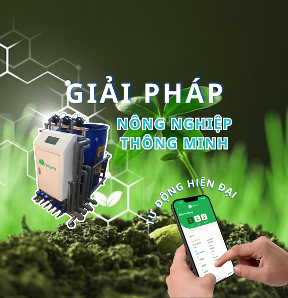 Giải pháp