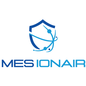 Mes ionair