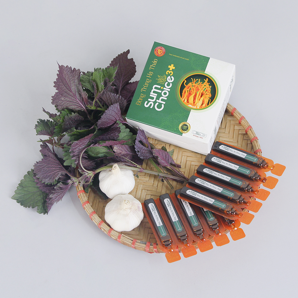 New Trend Collection