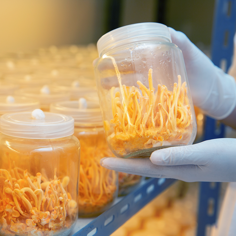 Tìm Kiếm Sự Bình Yên