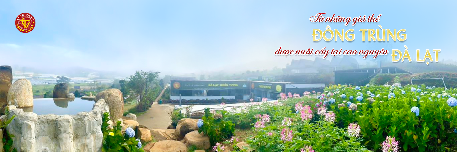 Đà Lạt Thiên Vương