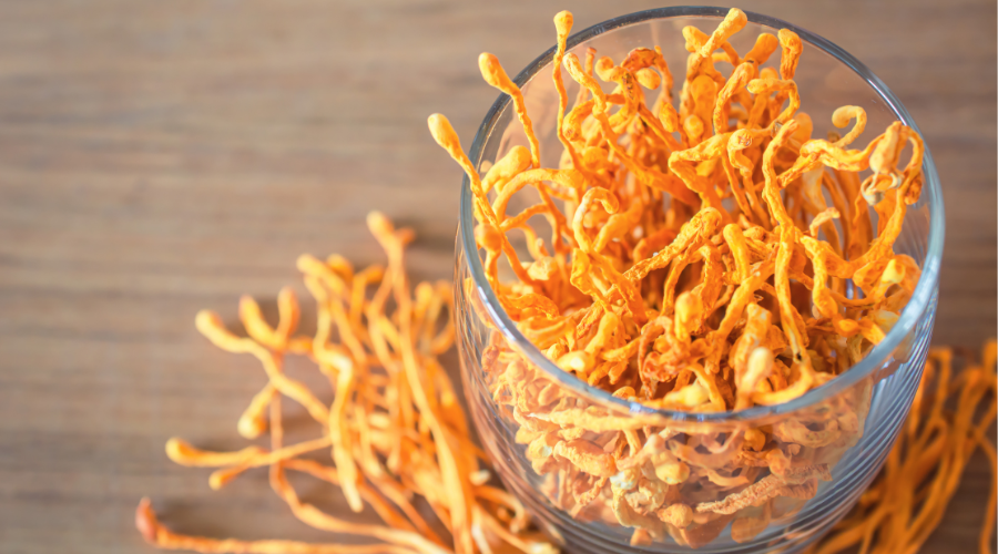 GIÁ TRỊ CỐT LÕI