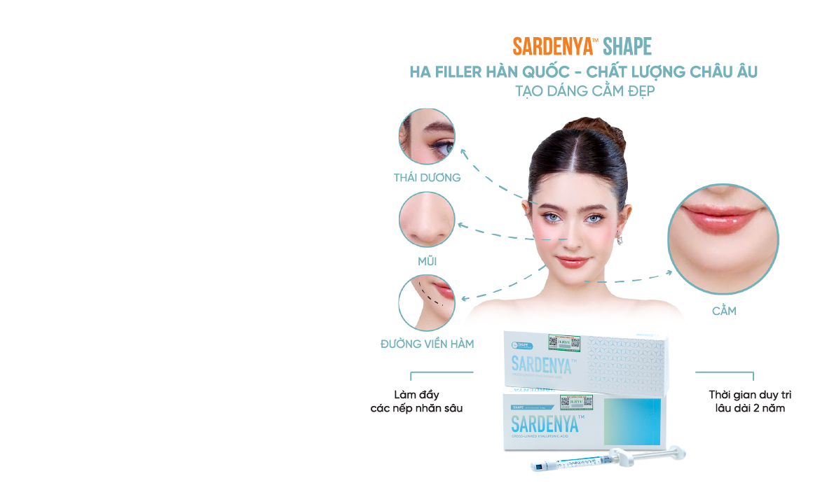 <strong>SARDENYA SHAPE</strong> /
