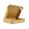 Carton nắp cài