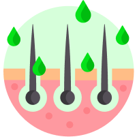 coll_6_title
