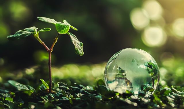DỰ ÁN NÔNG NGHIỆP TAVINA