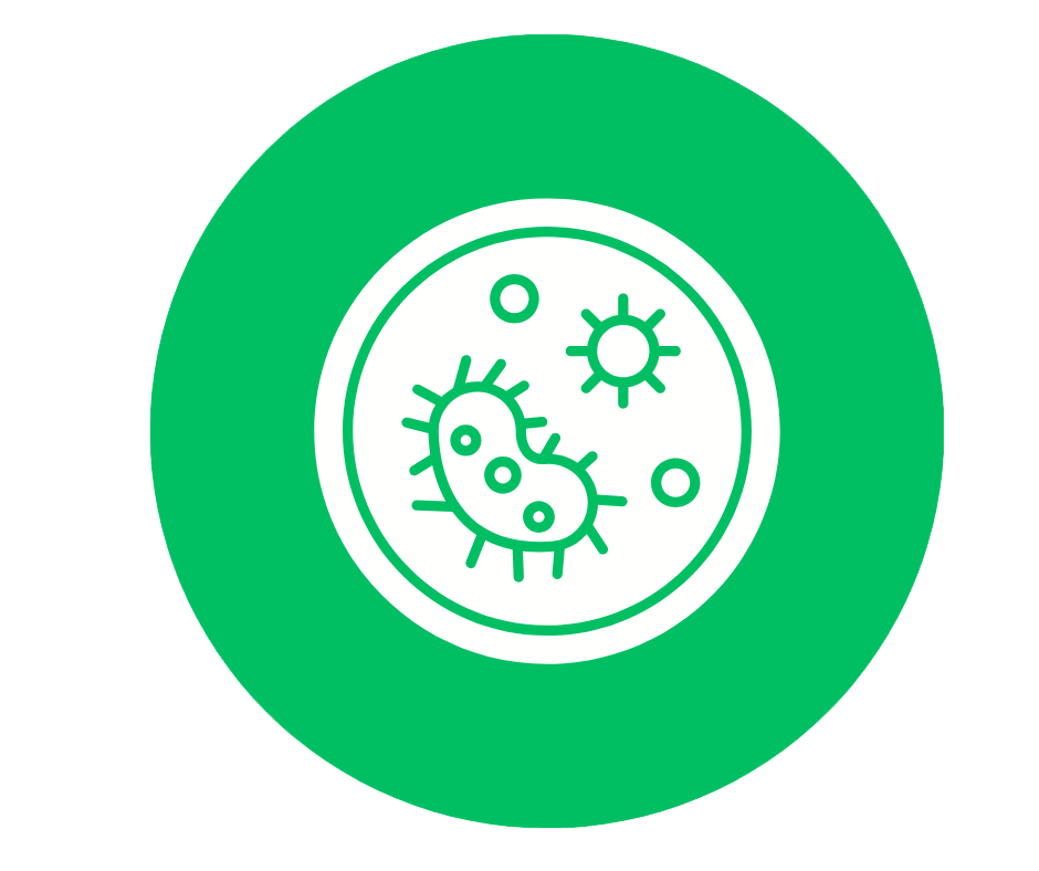 MEN VI SINH BAO VI NANG