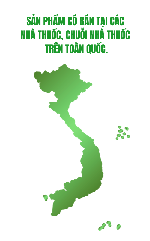 Hệ thống phân phối