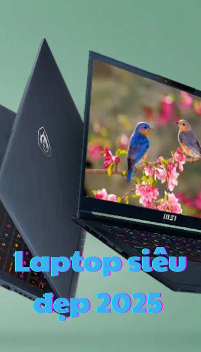 home-collection-one-item-1