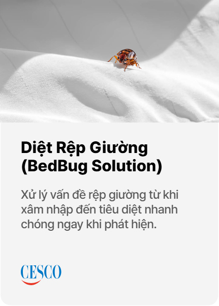 banner_group_2_3.jpg