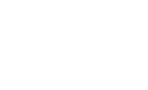 logo Qiaodan Việt Nam