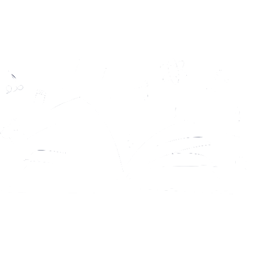 Chương trình giáo dục toàn diện 