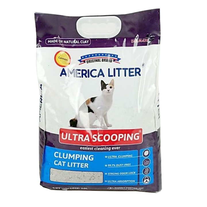 Cát Đậu Nành không bụi