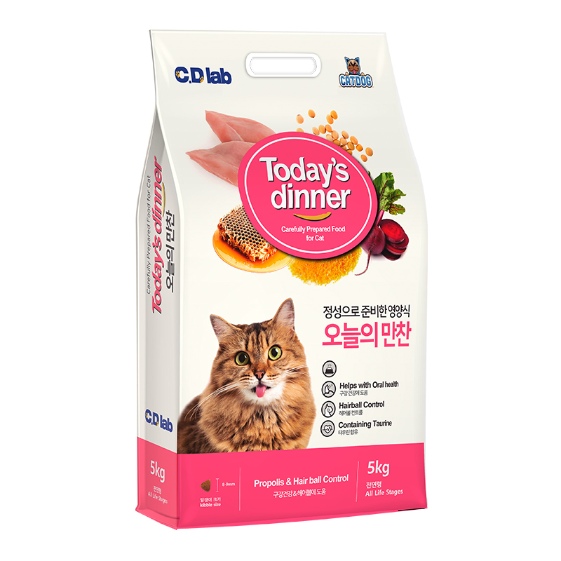 Mèo Mọi Lứa Tuổi