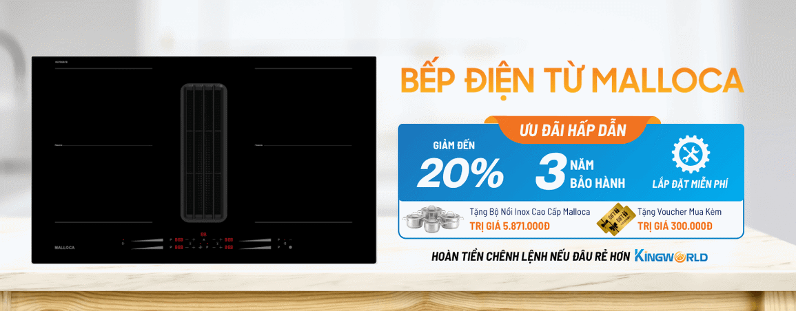 Bếp Điện Từ Malloca Sale