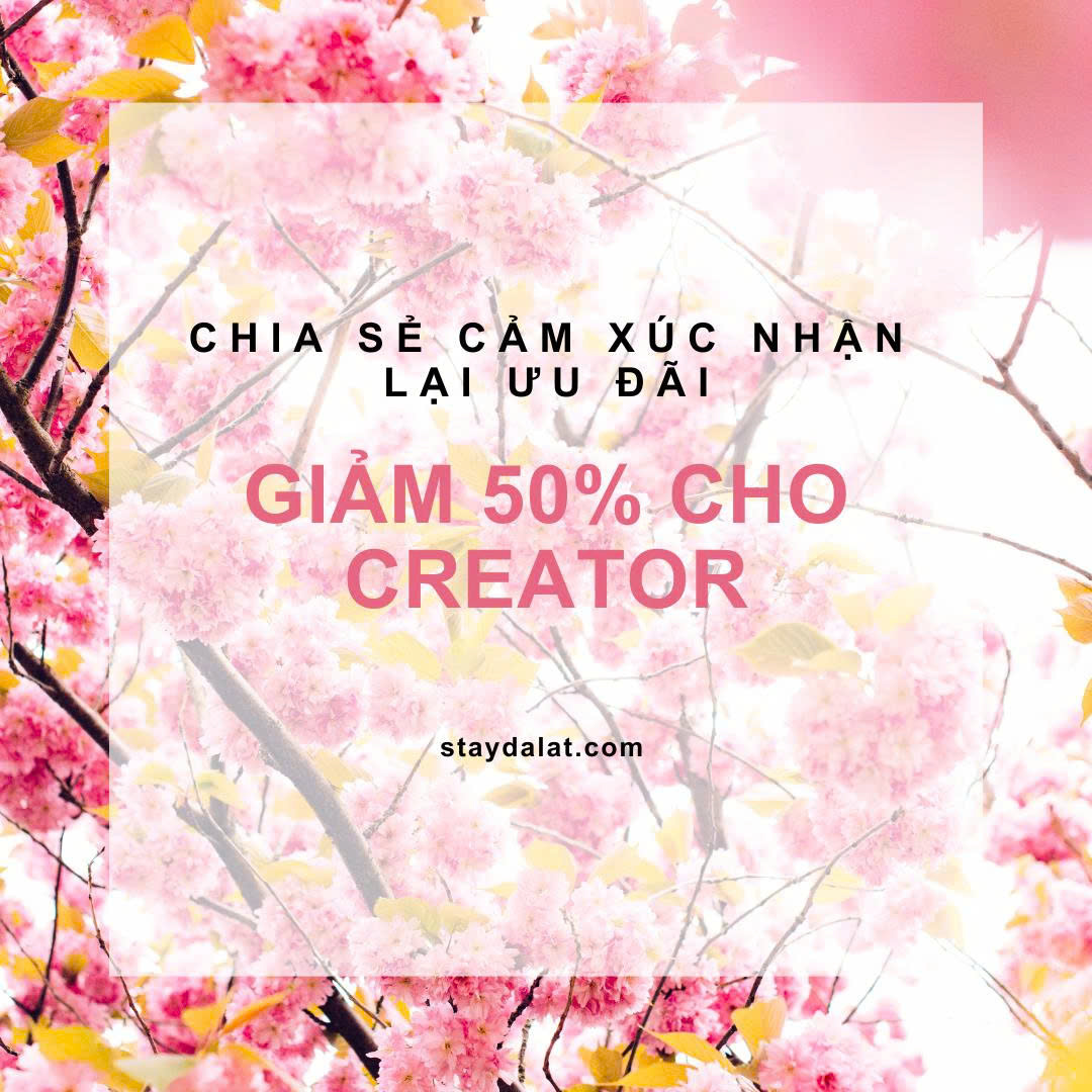 ưu đãi dành cho creator