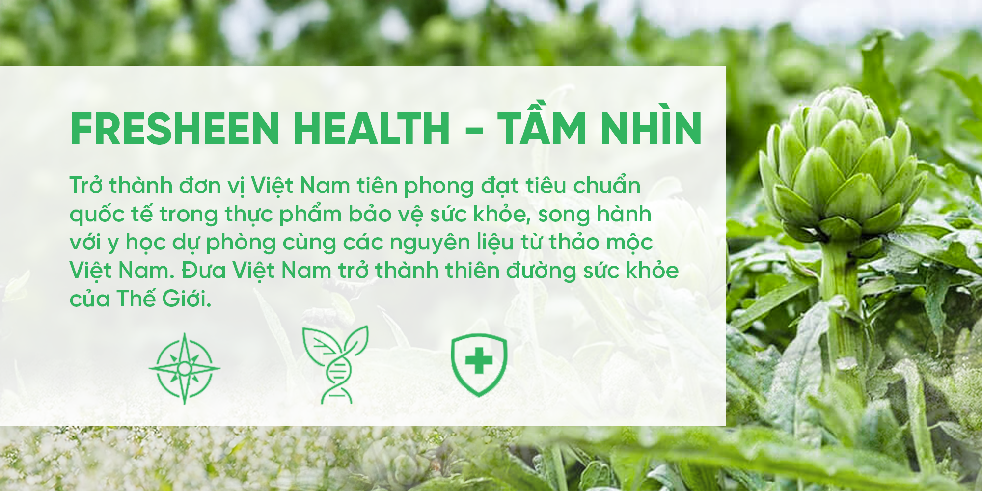 <b>FRESHEEN HEALTH - TẦM NHÌN</b>