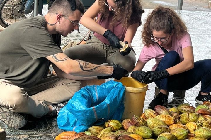 Exclusive Farm Tour: A Taste of the Mekong Delta