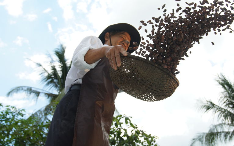 THAM QUAN NÔNG TRẠI: Tận mắt chứng kiến Phép màu Cacao!