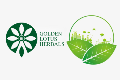 Giấy phép môi trường