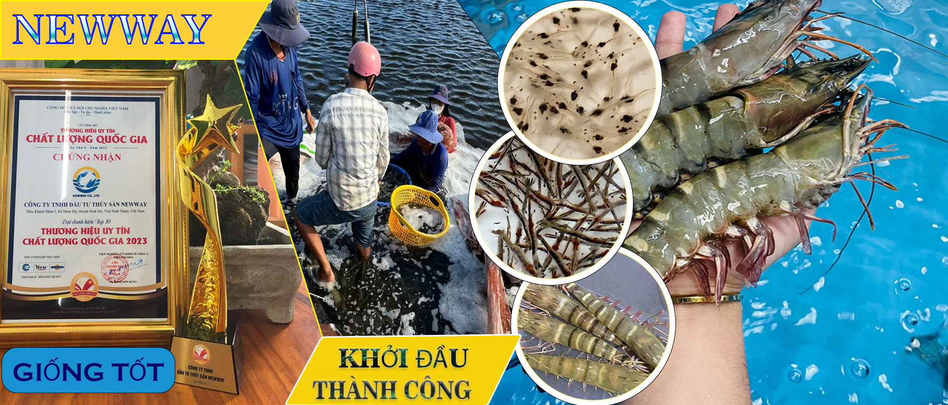 chương trình khuyến mãi 1
