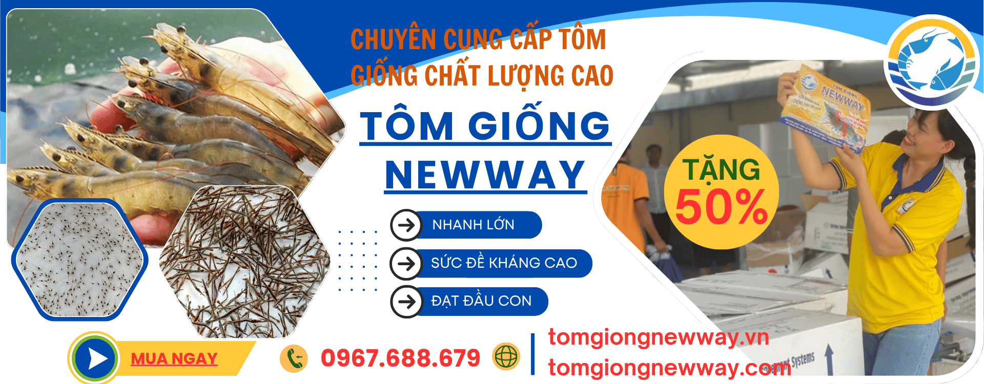 chương trình khuyến mãi 2