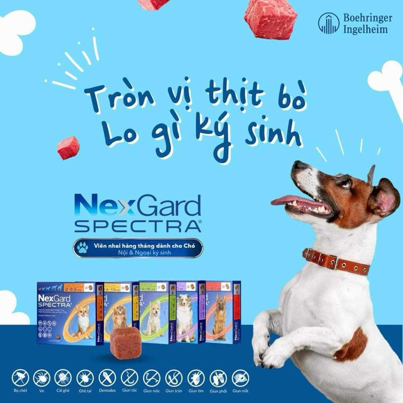 	Thuốc Trị Ve, Rận,Ghe cho Chó Mèo 