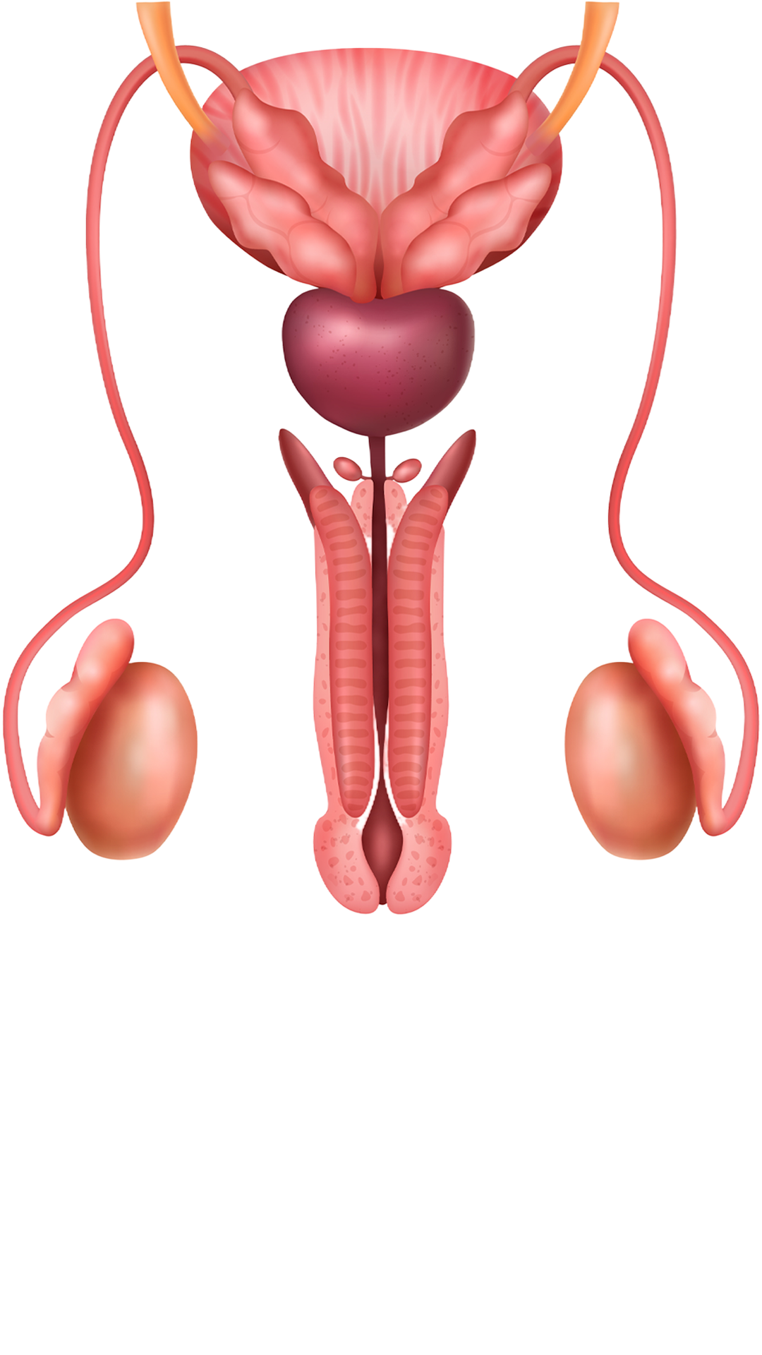 Gửi thắc mắc đến BS. Nguyễn Tân Cương