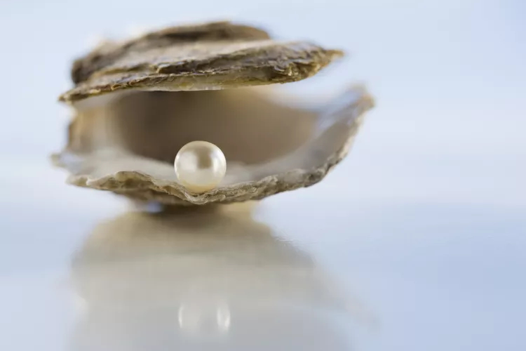 Ngọc trai - Món quà của thiên nhiên