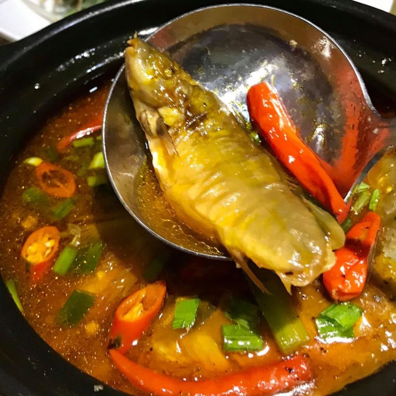 Cá Heo đuôi đỏ - Đặc sản quý hiếm