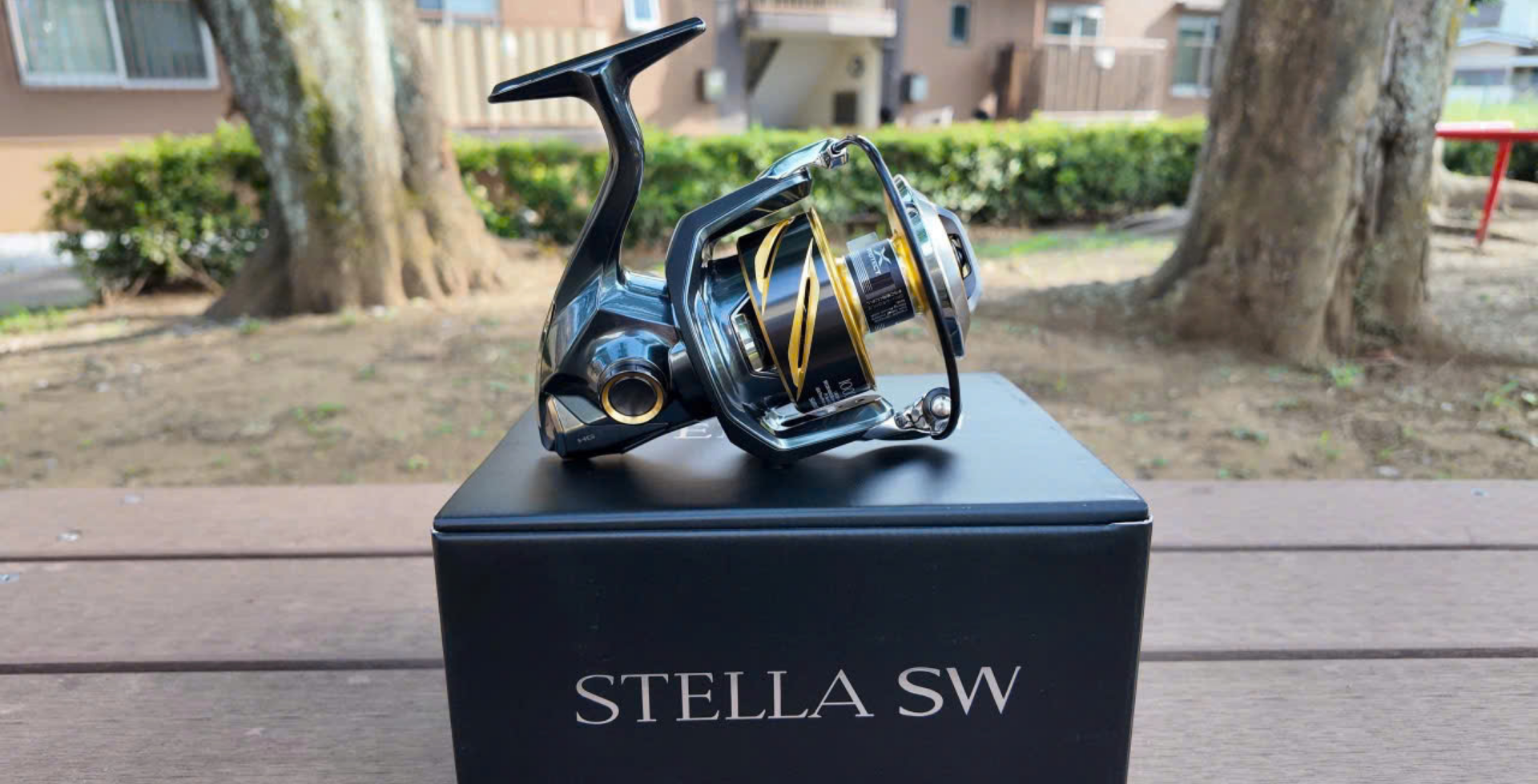 Stella sw 2025